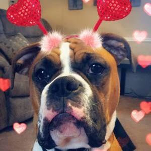 Meet your Posher, Tasha